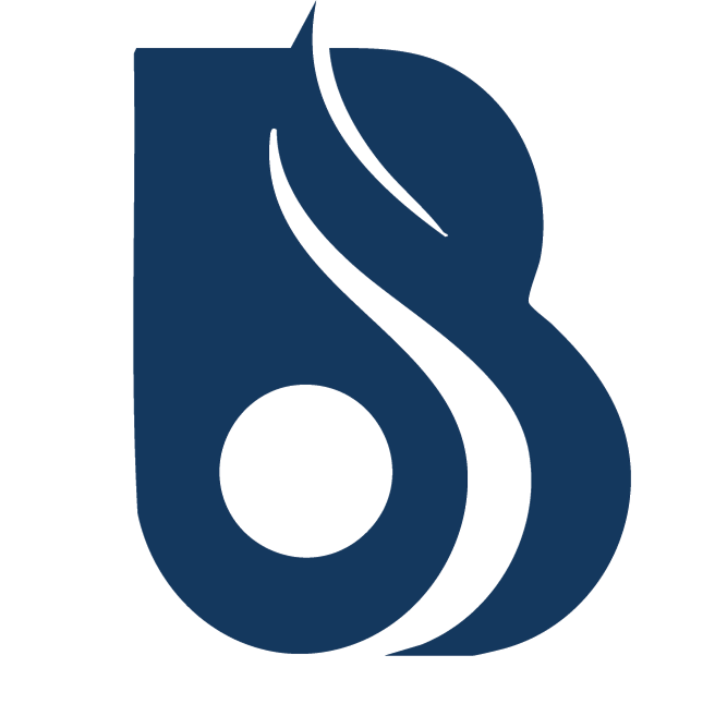 bhomiajipackagingsolution.com